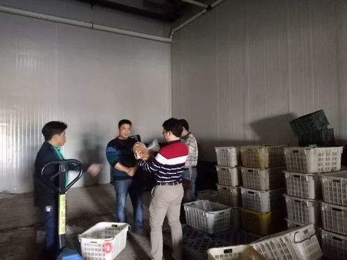 ?？谑乘幈O(jiān)局靠前服務(wù) 以專(zhuān)業(yè)指導(dǎo)賦能合作社農(nóng)產(chǎn)品深加工廠建設(shè)